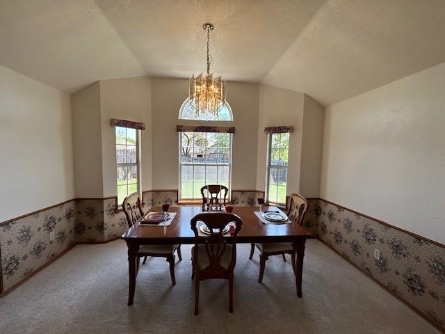 dining room with carpet floors, wainscoting, and plenty of natural light