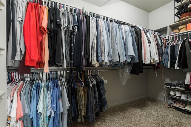walk in closet with carpet floors