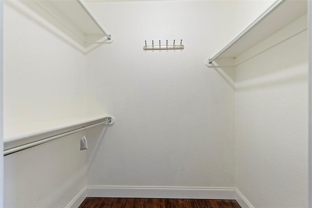 spacious closet with dark wood-type flooring