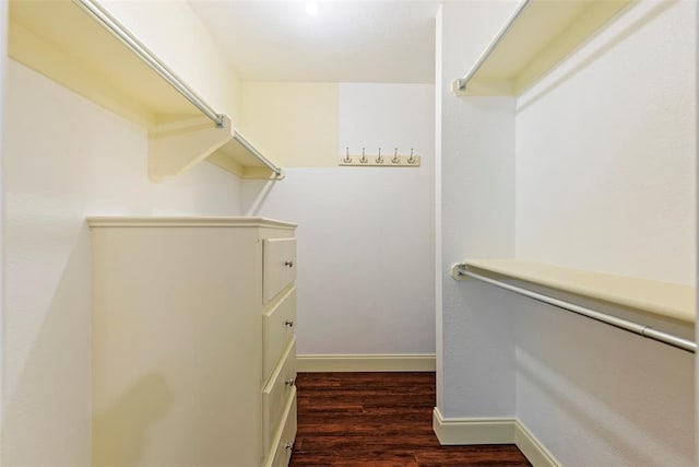 spacious closet featuring dark wood-style floors