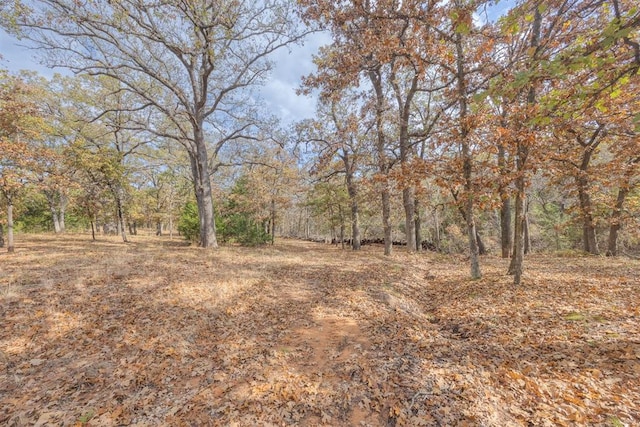 view of landscape featuring a wooded view