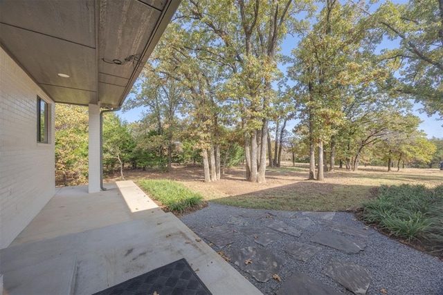 view of yard with a patio area