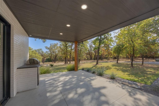 view of patio / terrace featuring exterior kitchen