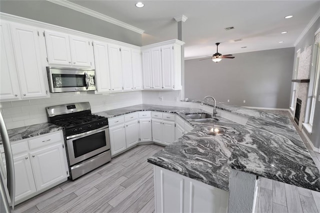 kitchen with ceiling fan, a sink, a peninsula, ornamental molding, and stainless steel appliances