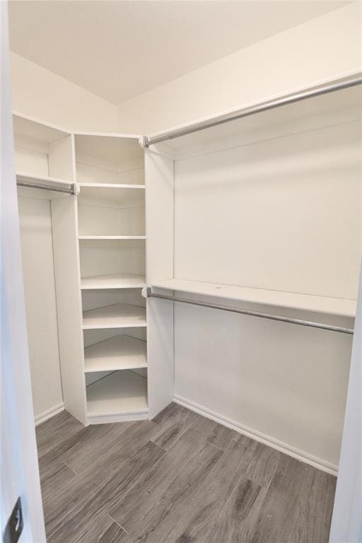 walk in closet featuring dark wood finished floors