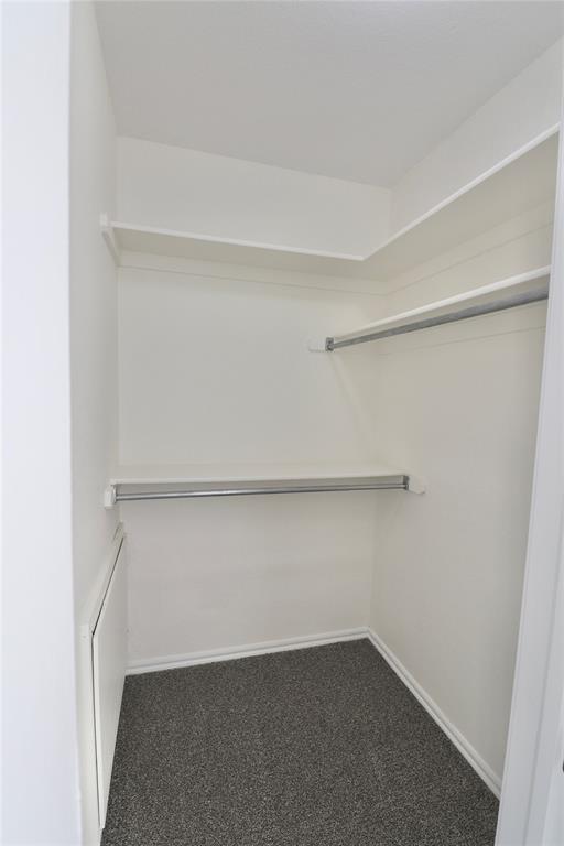 walk in closet featuring carpet floors