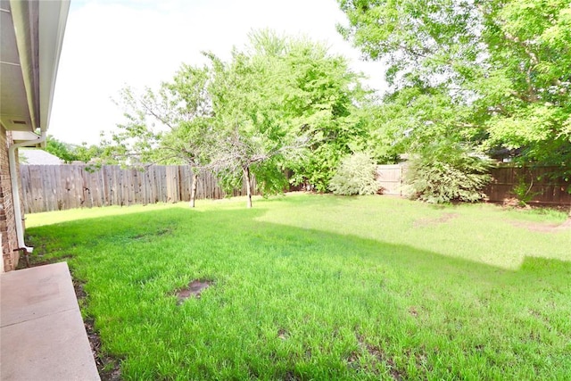 view of yard featuring a fenced backyard