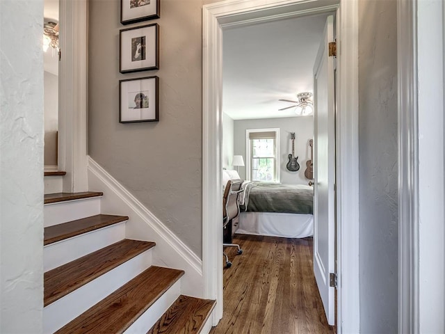 stairs featuring ceiling fan and wood finished floors