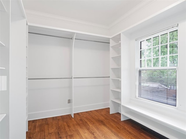 spacious closet with wood finished floors