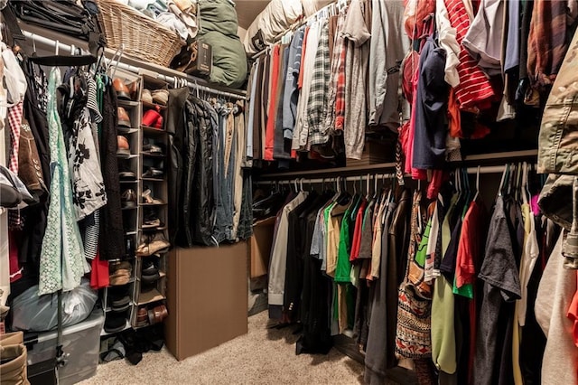 spacious closet featuring carpet flooring