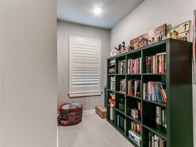 miscellaneous room with carpet floors and baseboards