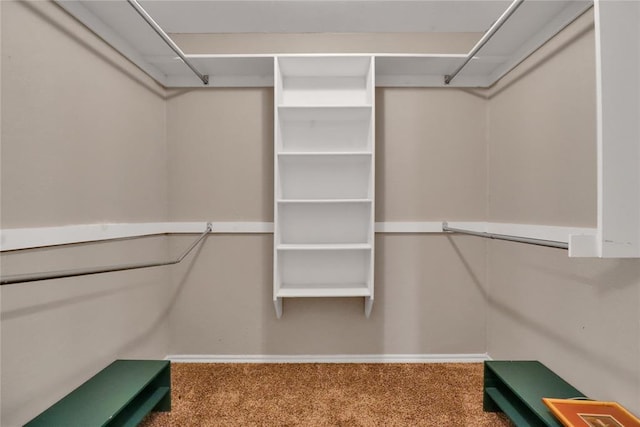 8713 Starling Path, Edmond, OK 73034 - spacious closet with carpet flooring