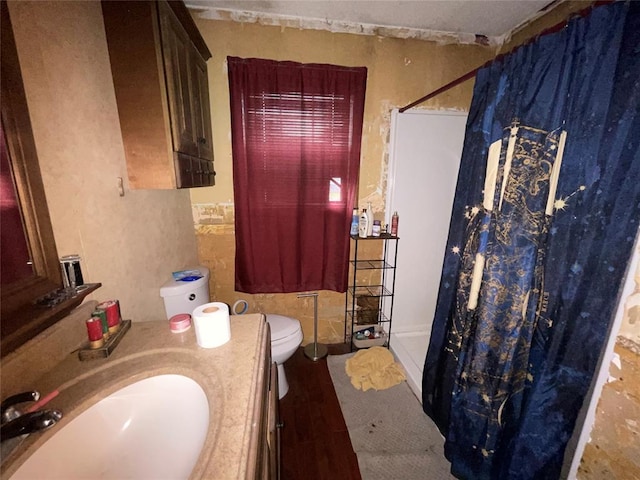 bathroom featuring a stall shower, toilet, and vanity