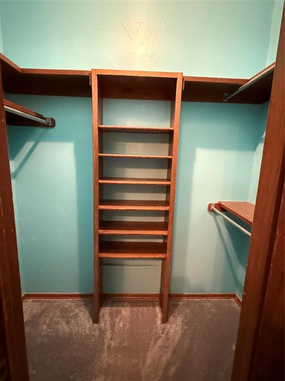 3900 Chickasha, Edmond, OK 73013 - walk in closet featuring carpet floors