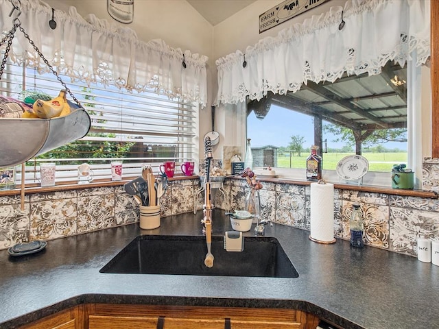 room details featuring a sink and dark countertops
