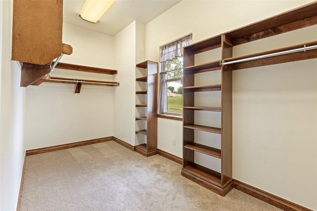 spacious closet with carpet