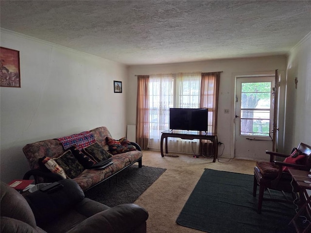 carpeted living room featuring crown molding and a textured ceiling