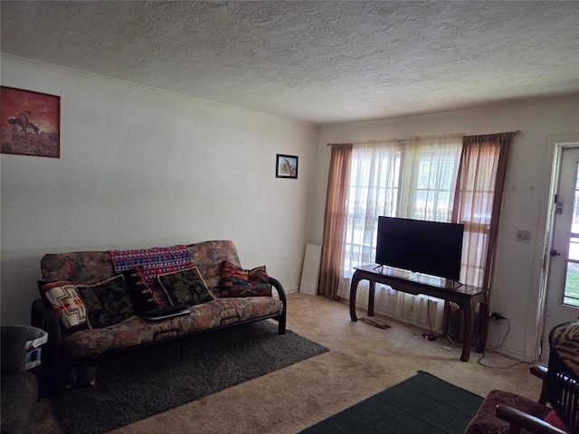 carpeted living area with a textured ceiling and a healthy amount of sunlight