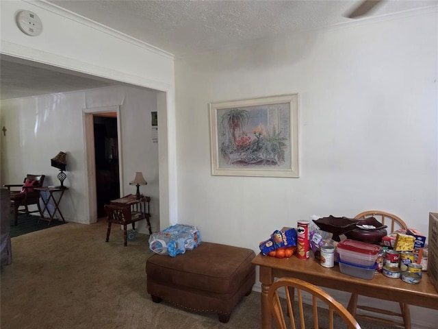 living area with carpet flooring and a textured ceiling