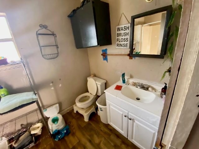 bathroom featuring vanity, toilet, and wood finished floors