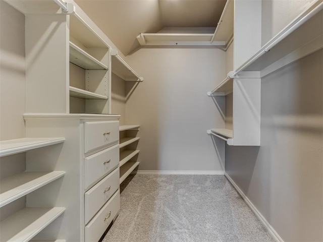 spacious closet with light colored carpet