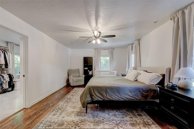bedroom featuring a walk in closet, ceiling fan, wood finished floors, and multiple windows