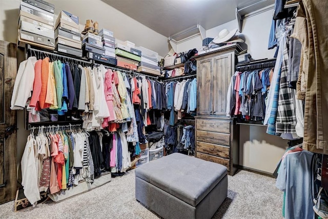 spacious closet with carpet floors