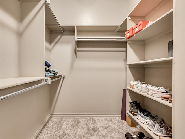 spacious closet with carpet
