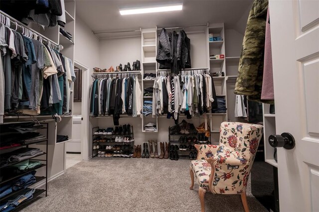 spacious closet featuring carpet flooring