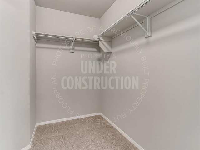 spacious closet featuring carpet