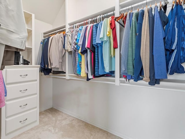 walk in closet featuring carpet