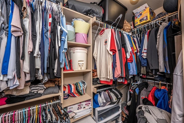 view of spacious closet