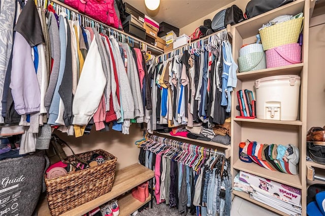 view of spacious closet