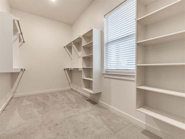 spacious closet with carpet