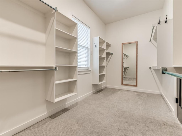 walk in closet with carpet