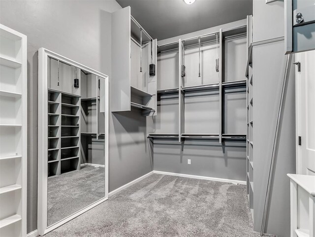 3101 Firefly Dr, Norman, OK 73071 - photo 19