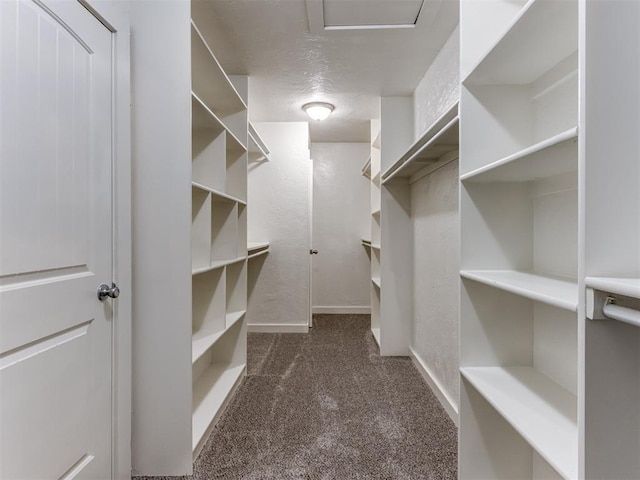 3233 Hickory Stick Rd, Oklahoma City, OK 73120 - spacious closet with dark carpet