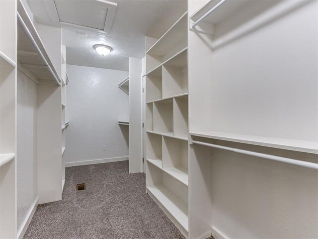 3233 Hickory Stick Rd, Oklahoma City, OK 73120 - spacious closet featuring carpet flooring