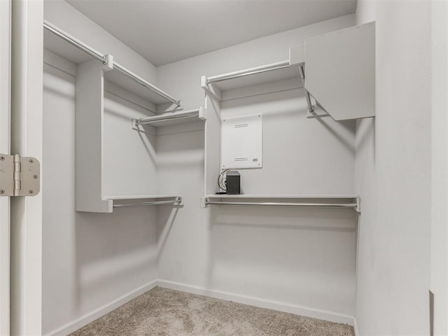 walk in closet with carpet floors