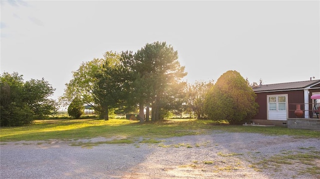 view of yard