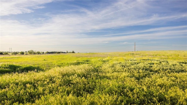 view of nature with a rural view