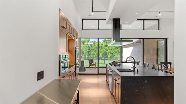 kitchen featuring rail lighting, stainless steel appliances, island range hood, a sink, and light wood-type flooring