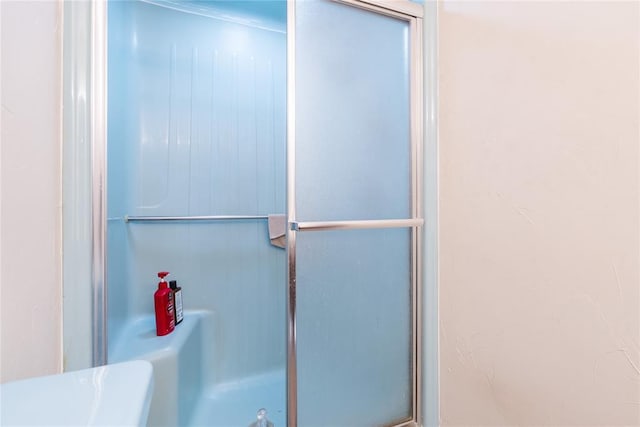 bathroom with a shower