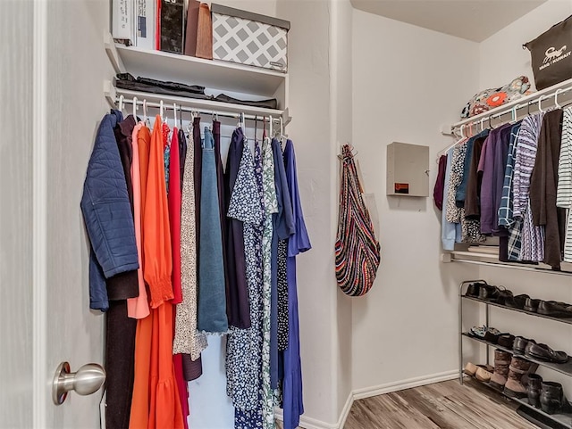 spacious closet featuring wood finished floors