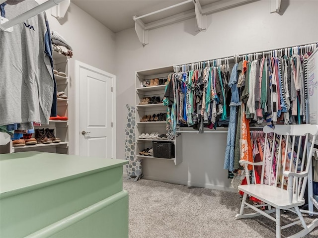 spacious closet featuring carpet floors