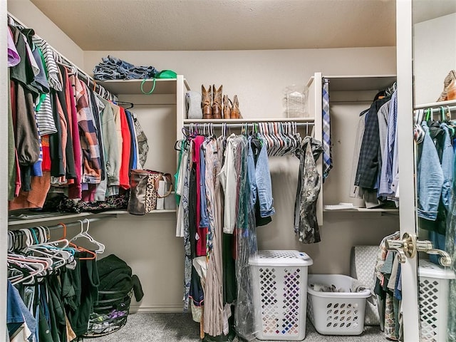view of walk in closet