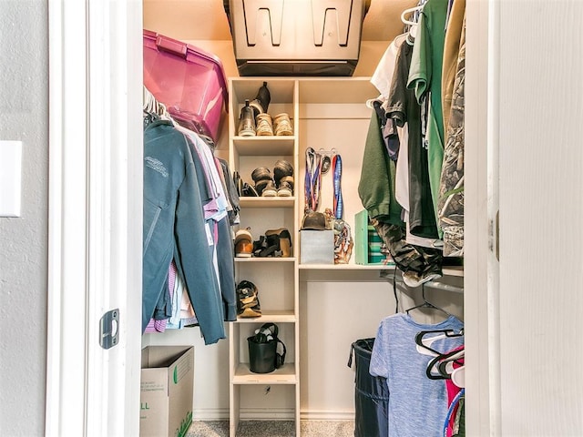 view of walk in closet