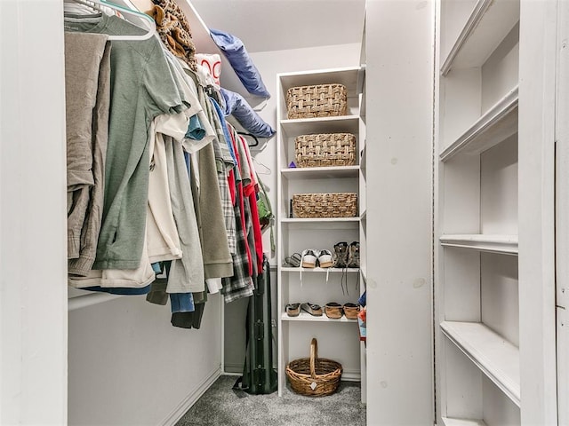 walk in closet with carpet