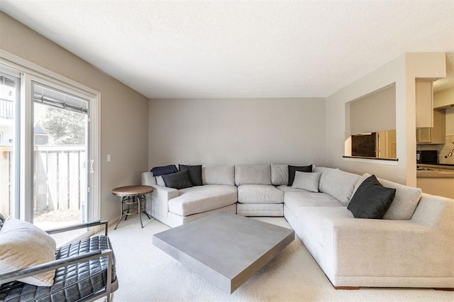 living room featuring a textured ceiling and light carpet