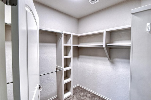 34701 E County Road 1610, Pauls Valley, OK 73075 - spacious closet with carpet floors and visible vents